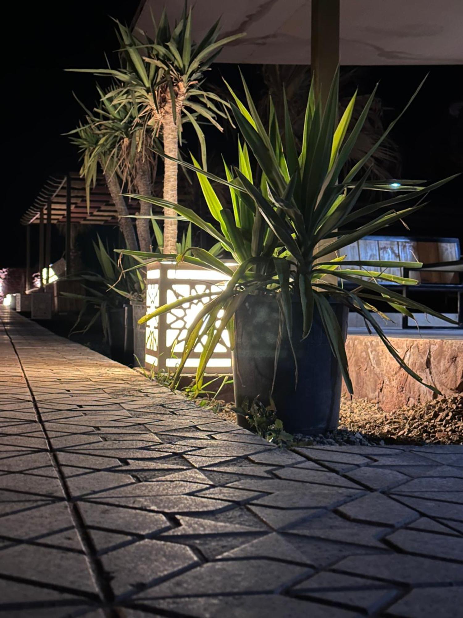 Rum Relaxation Luxury Camp Wadi Rum Exterior foto