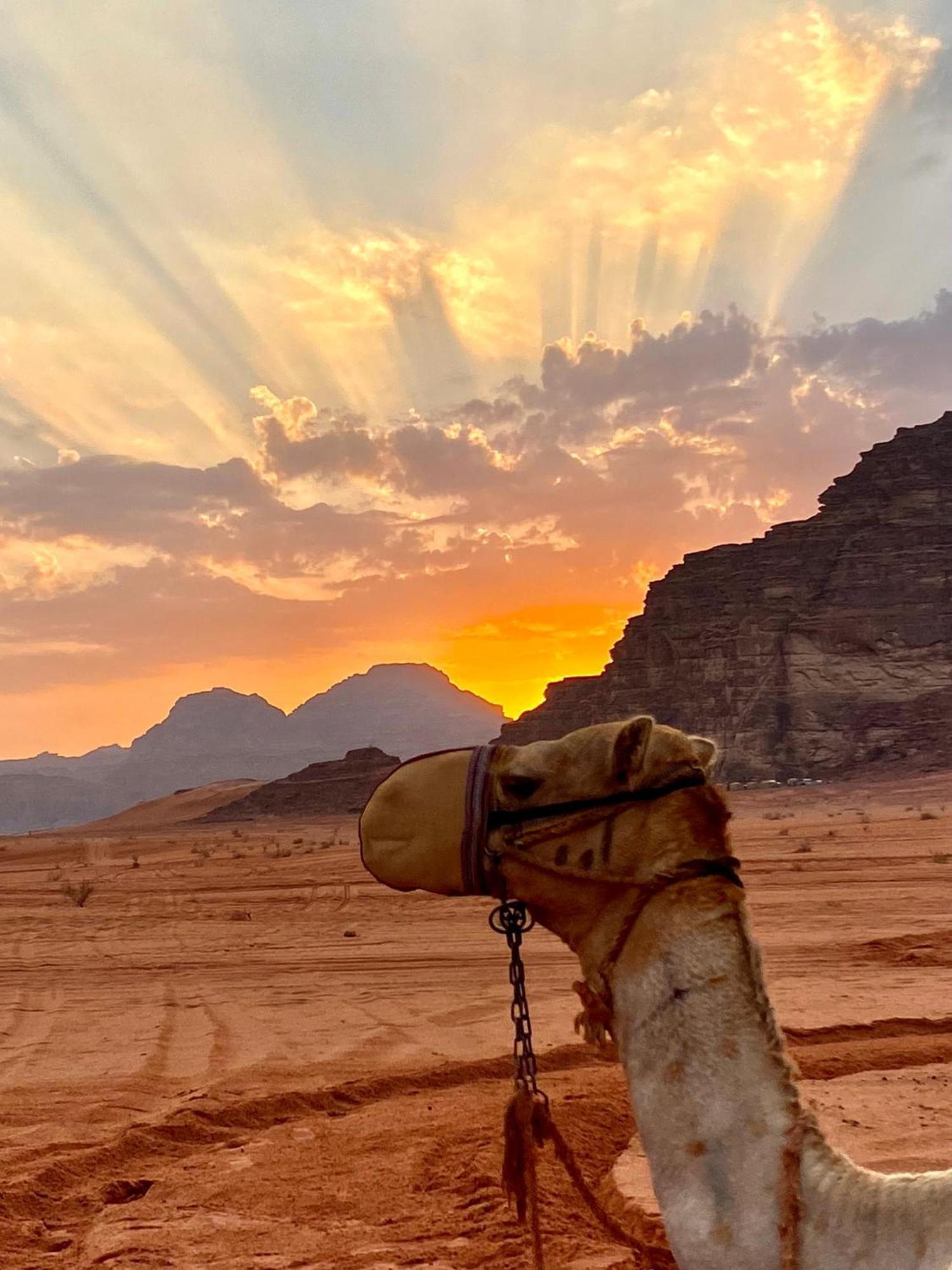 Rum Relaxation Luxury Camp Wadi Rum Exterior foto